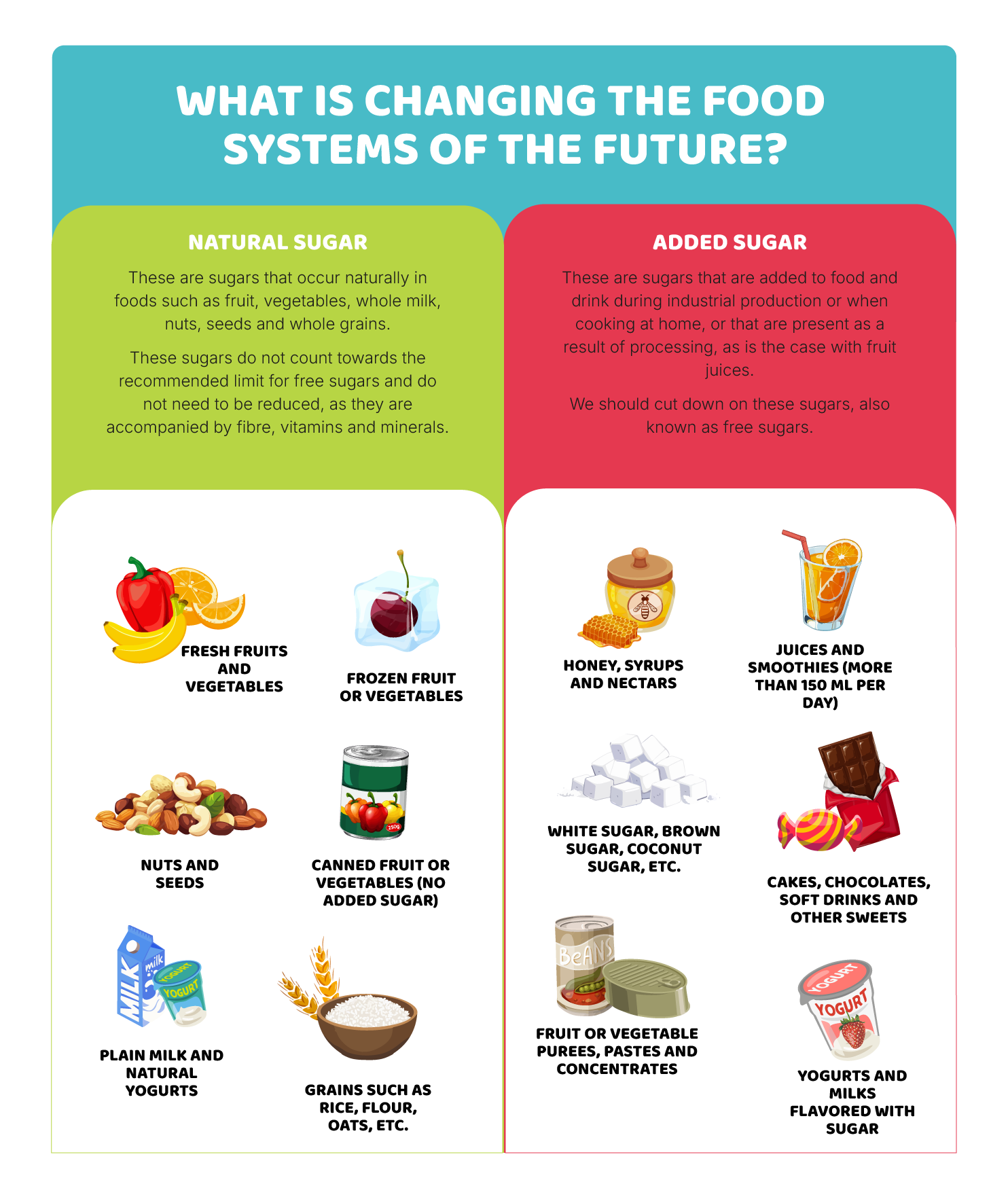 Where do sugars come from?
