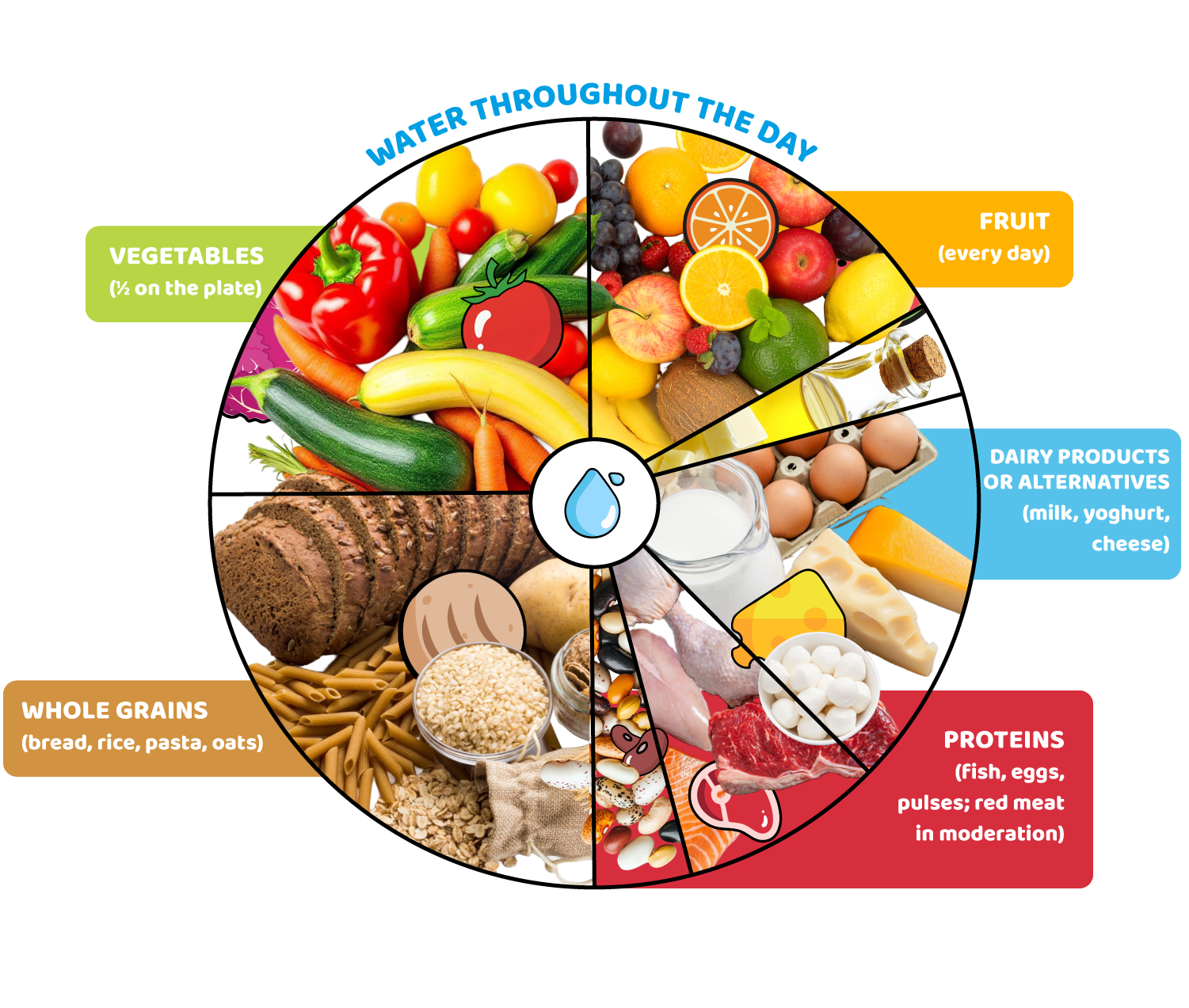 The Mediterranean Diet