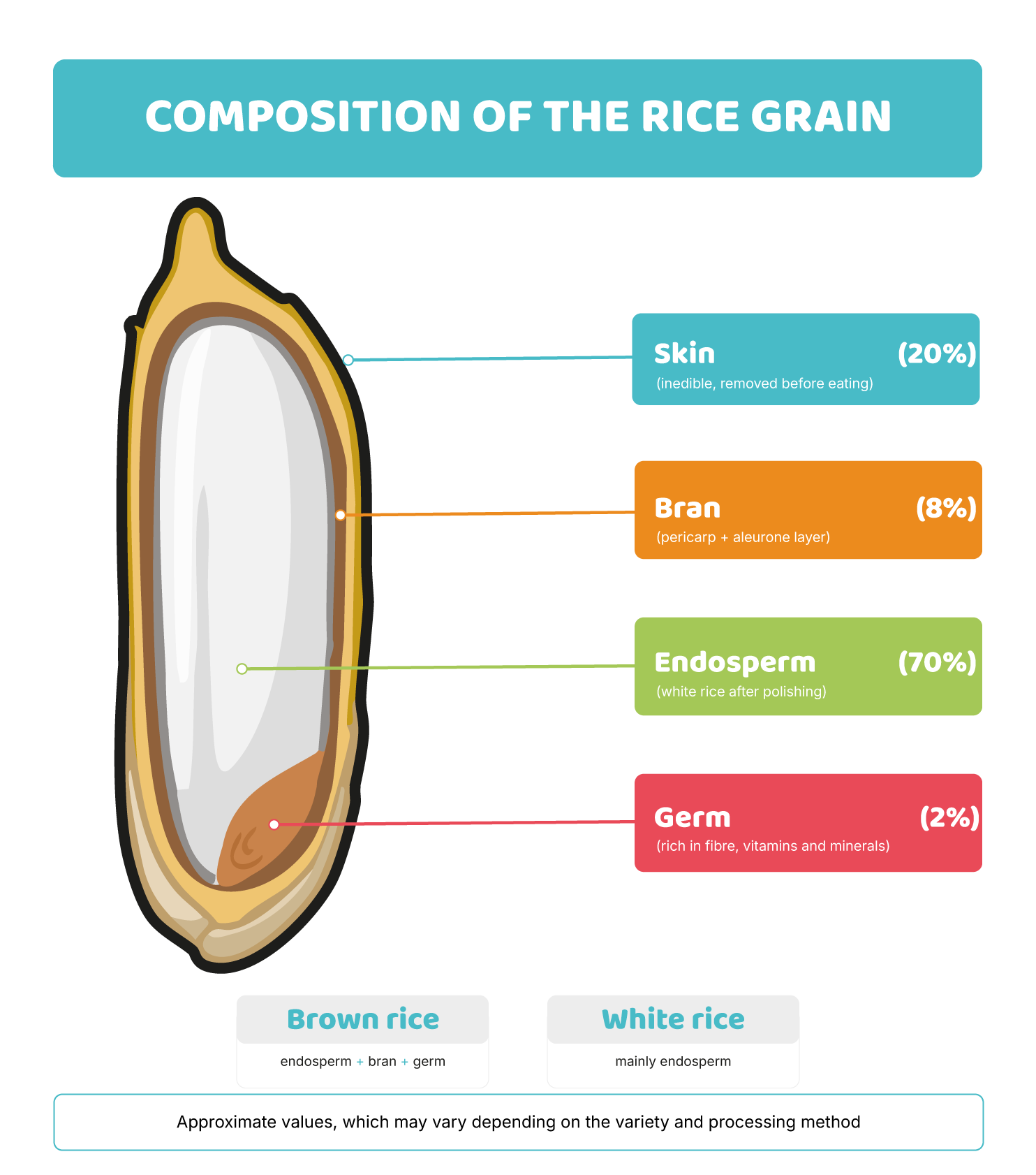 Rice