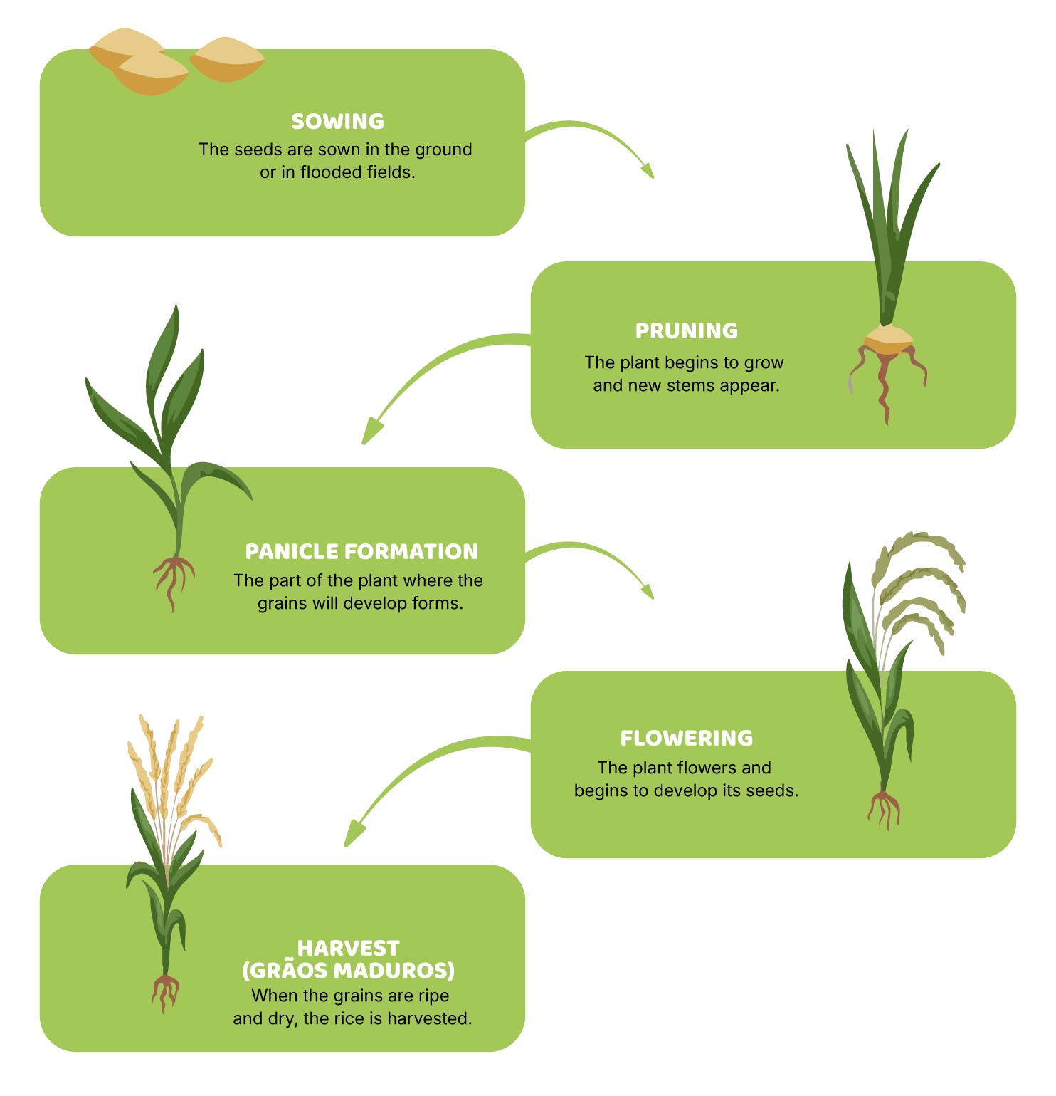 From farm to fork