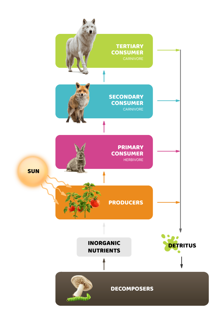 Ecosystems
