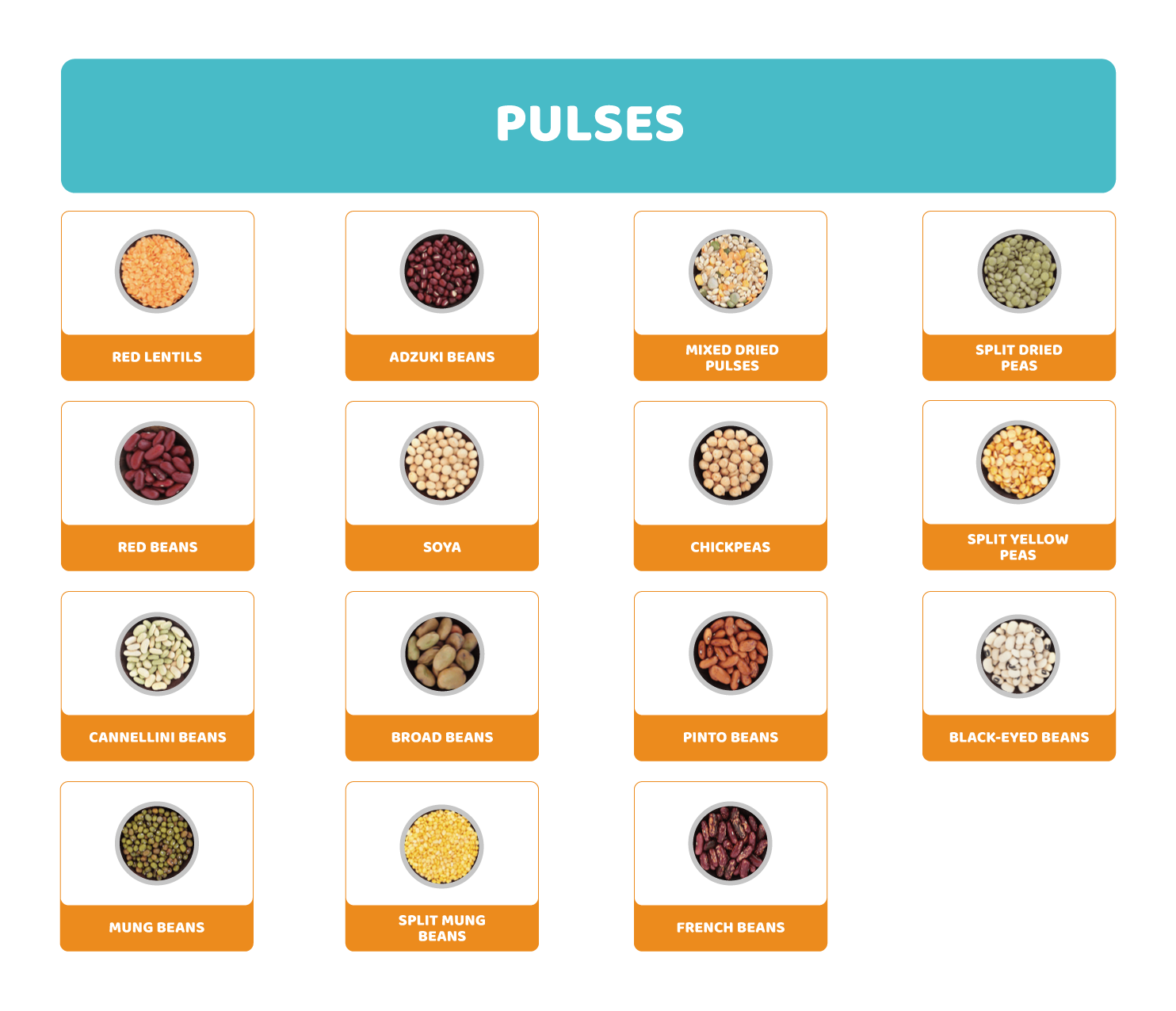 Pulses: the food of the future