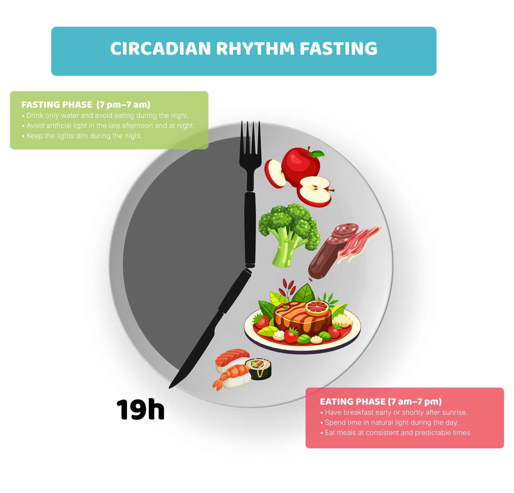 Adapting your diet to your body’s natural rhythms