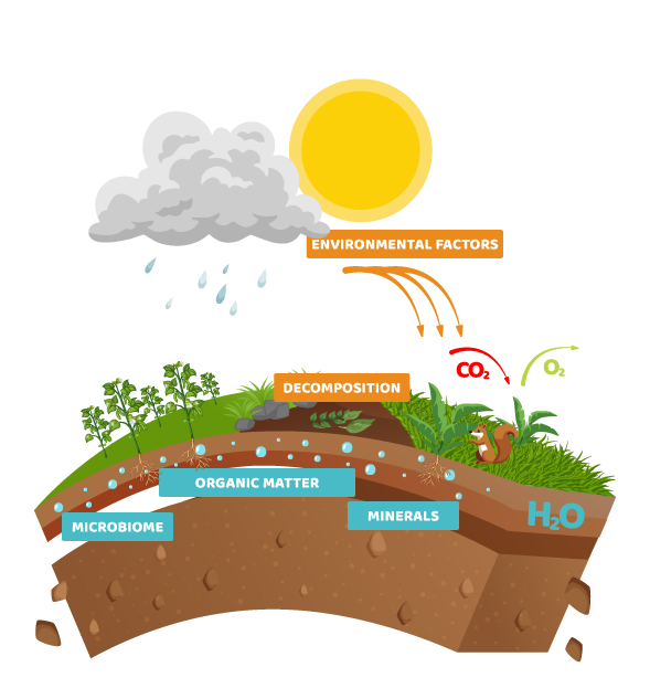 How to keep soil healthy