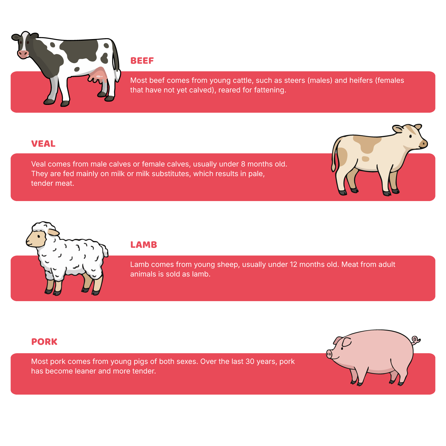 How beef is produced