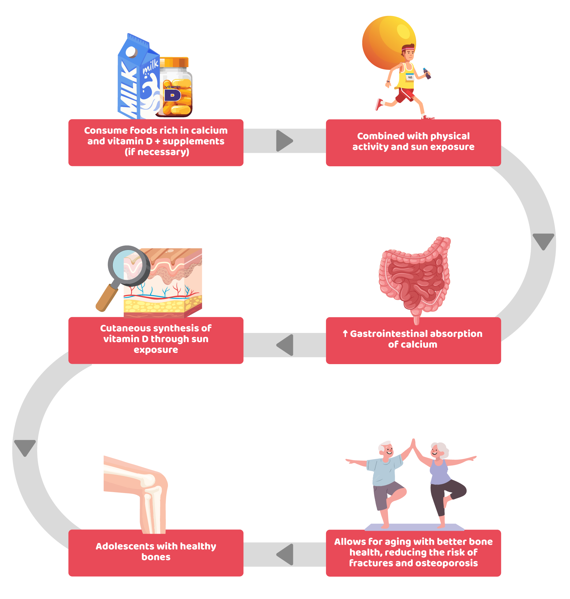 Hormonal health: a diet that promotes stability