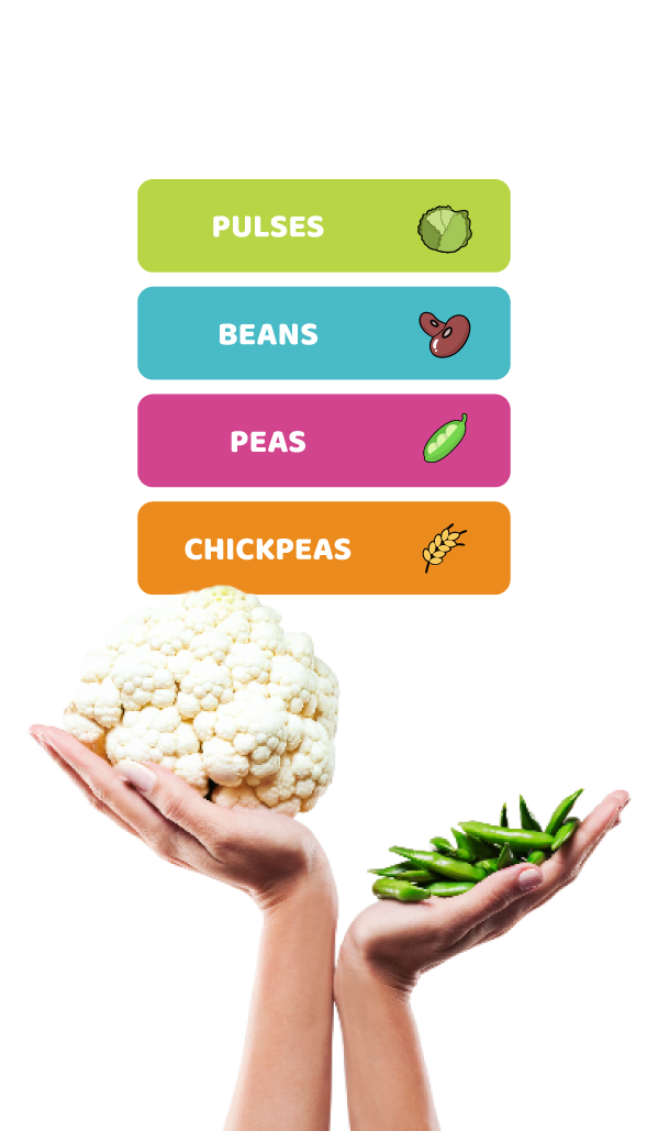 Plan your meals, look after the soil and the climate