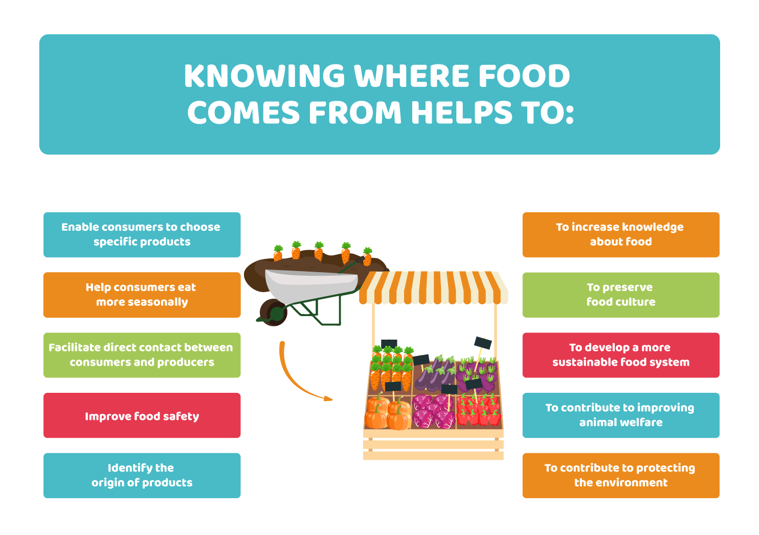 Human food chains and food webs: how food reaches us