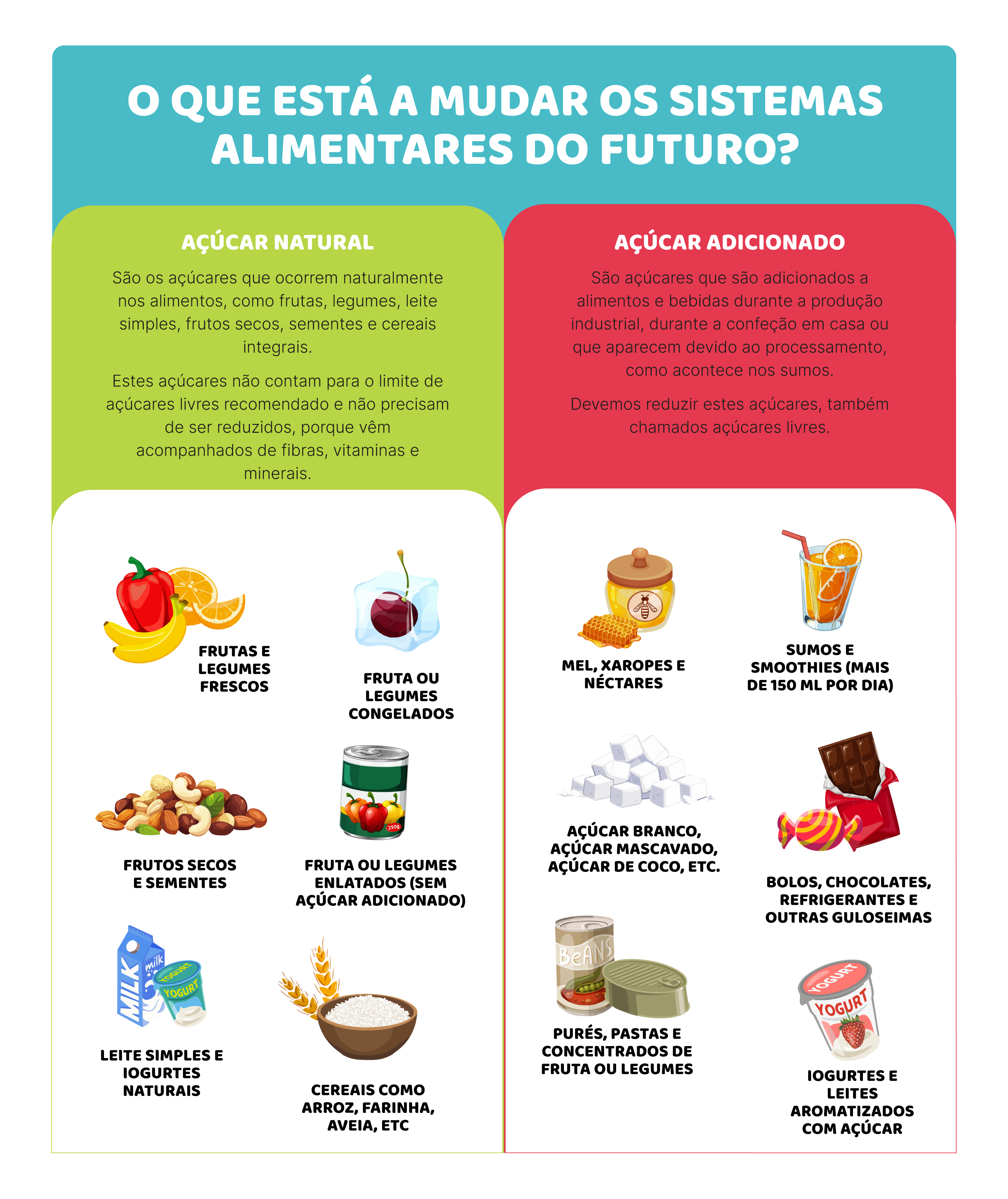 De onde vêm os açúcares?