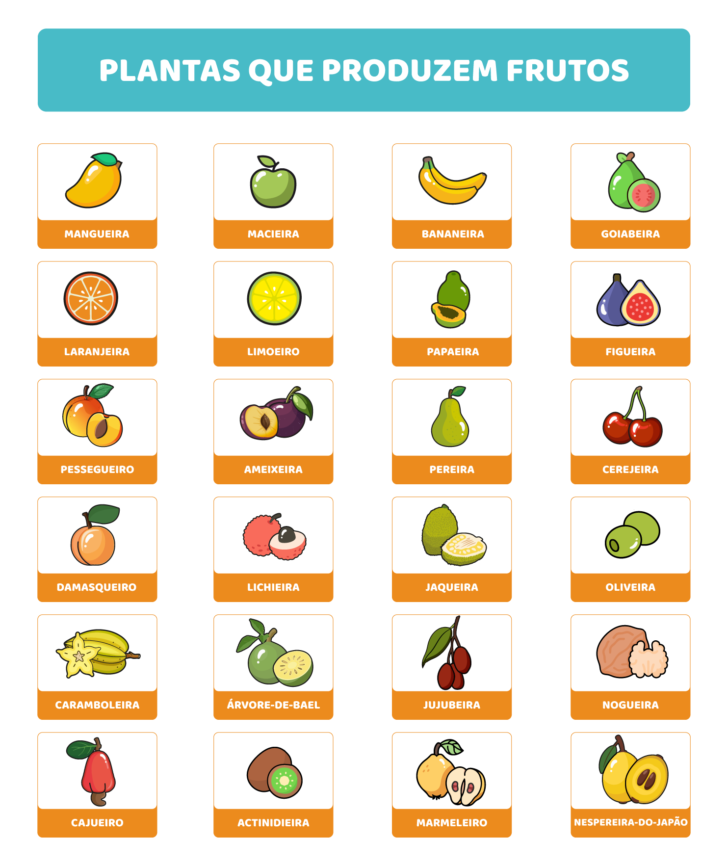 Colheita e conservação