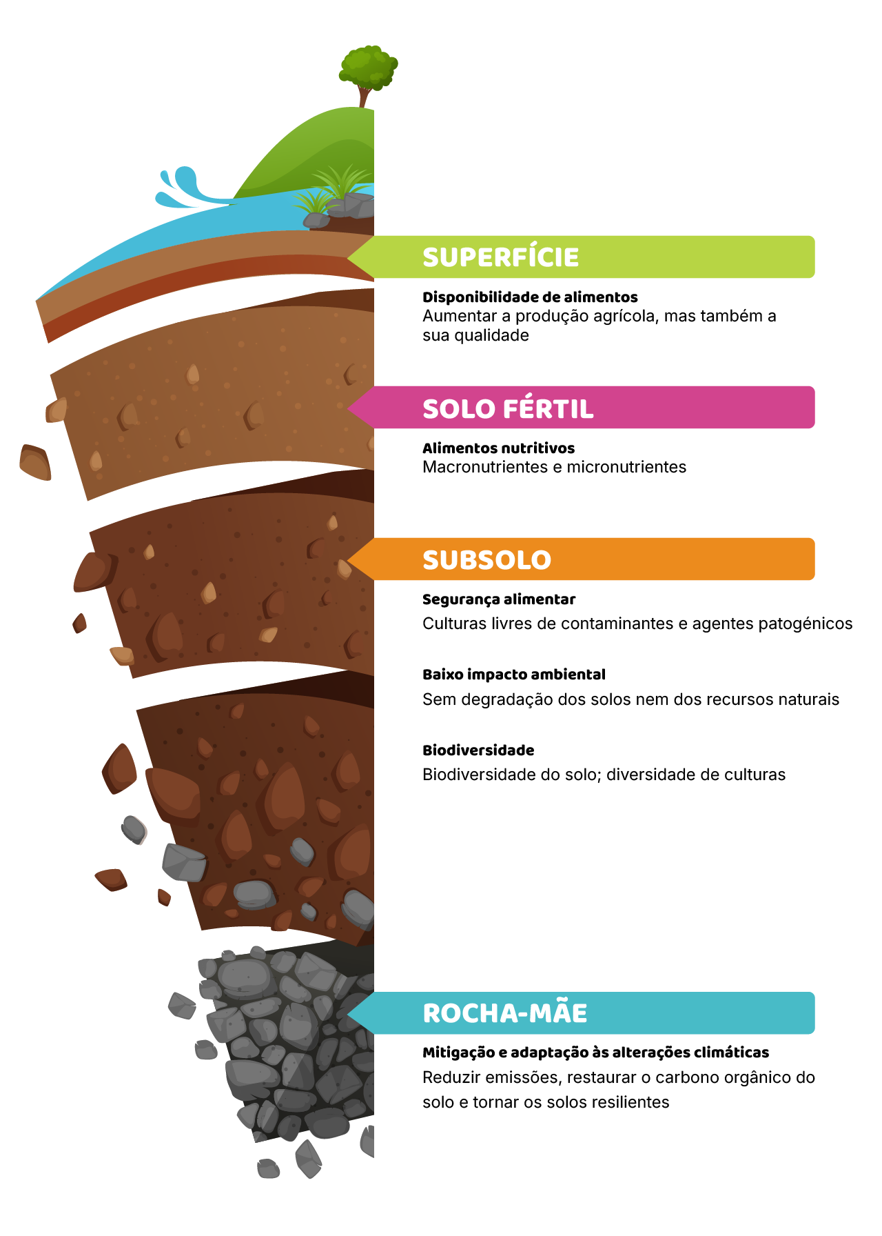 Como o solo funciona