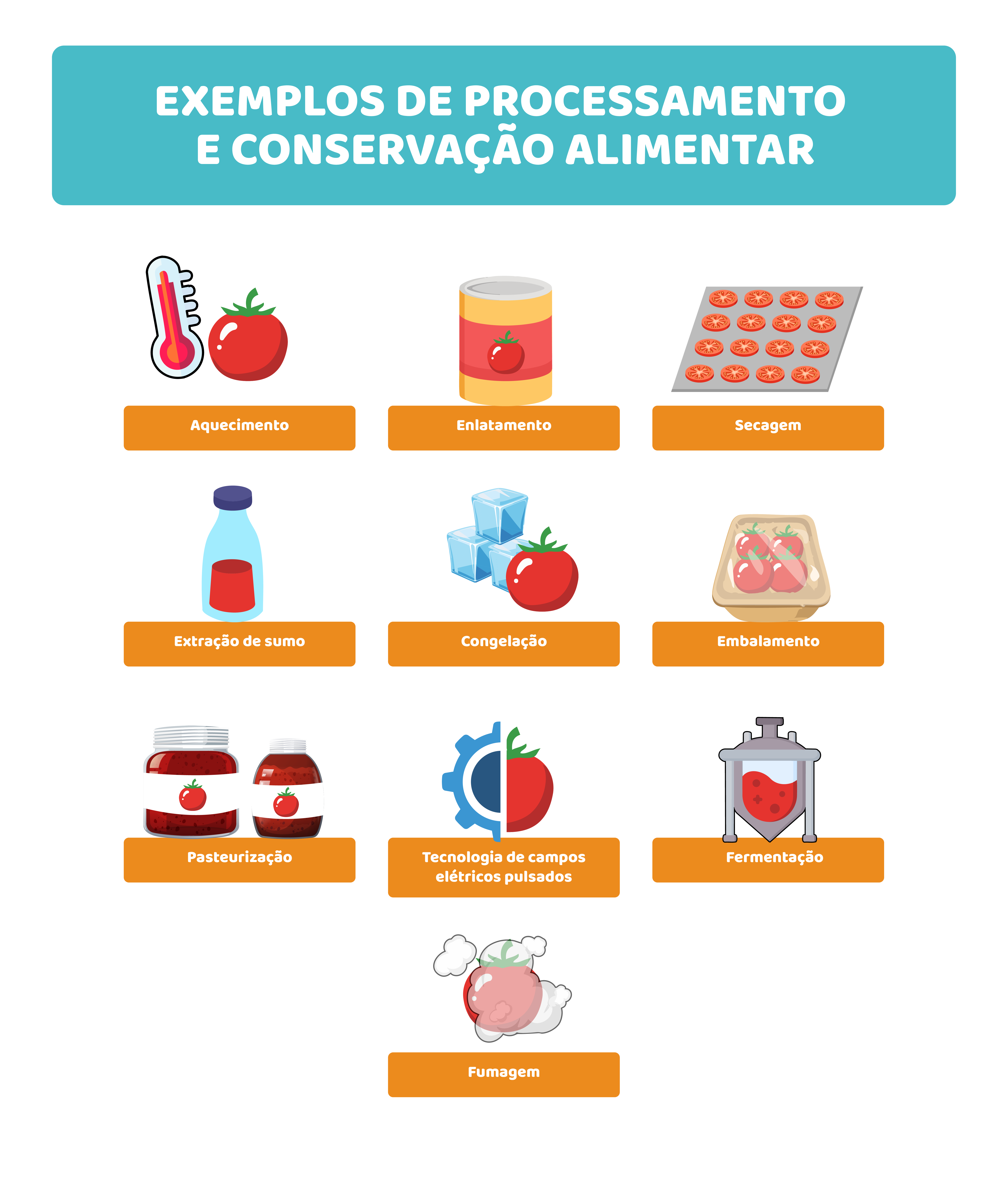Transformação: quando o alimento muda de forma — e de impacto