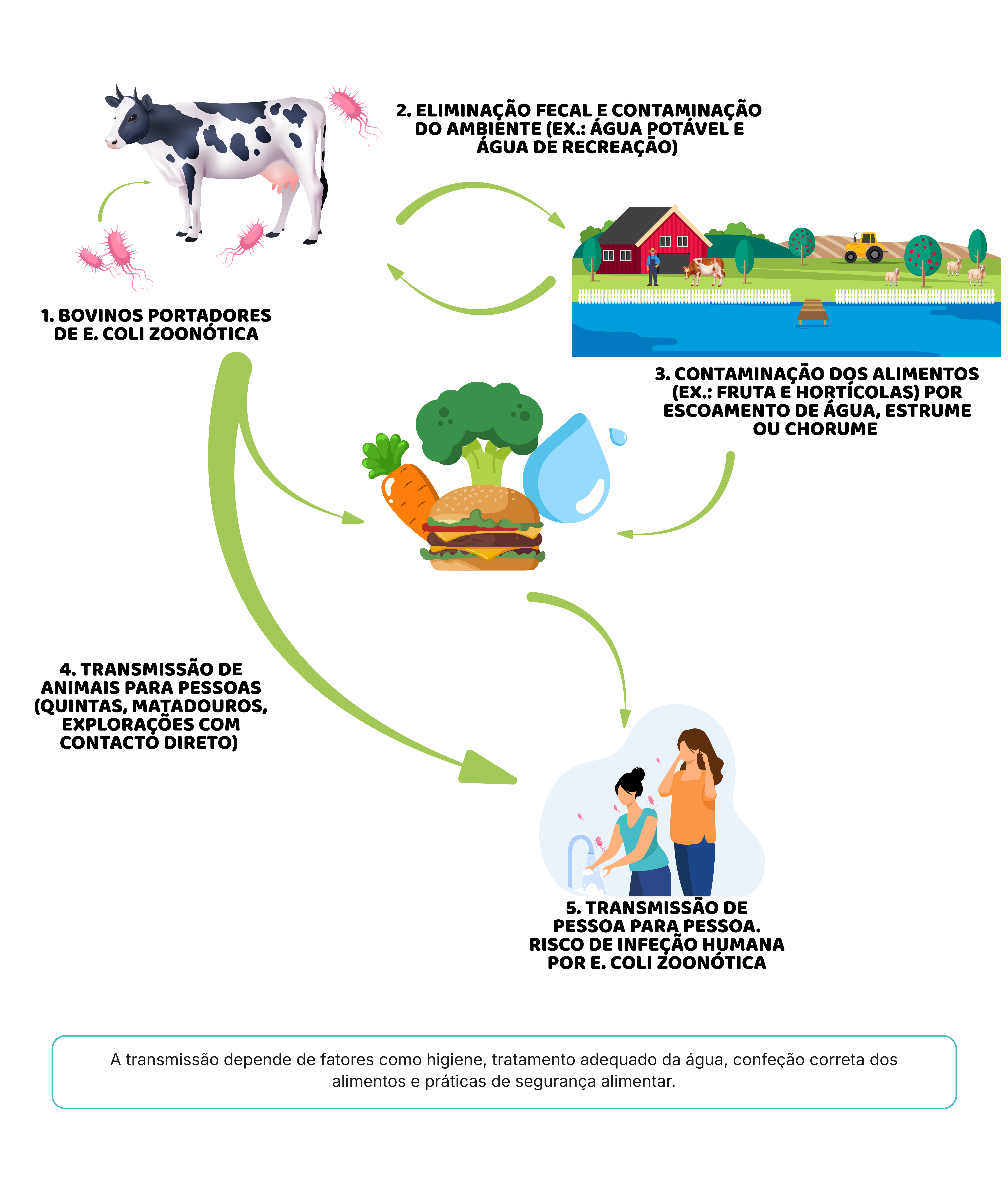 Conservação: onde pequenas distrações trazem grandes riscos