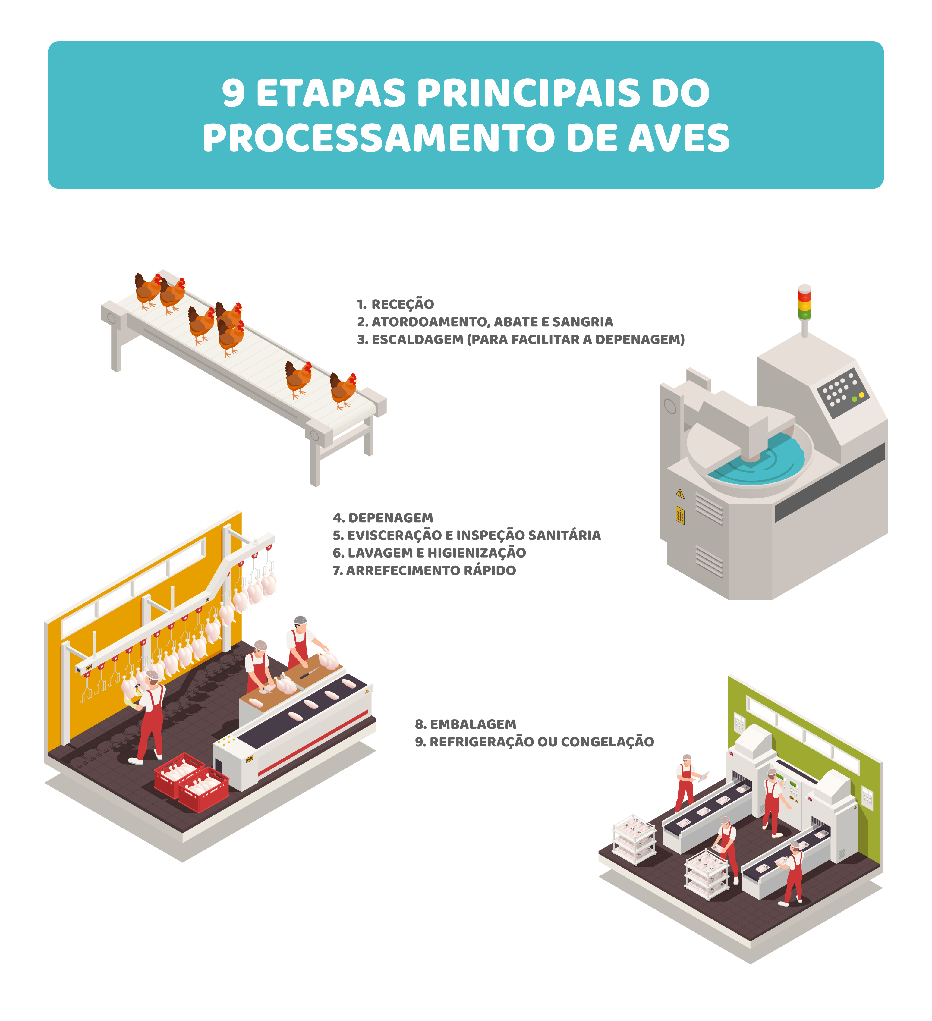 Evisceração e inspeção