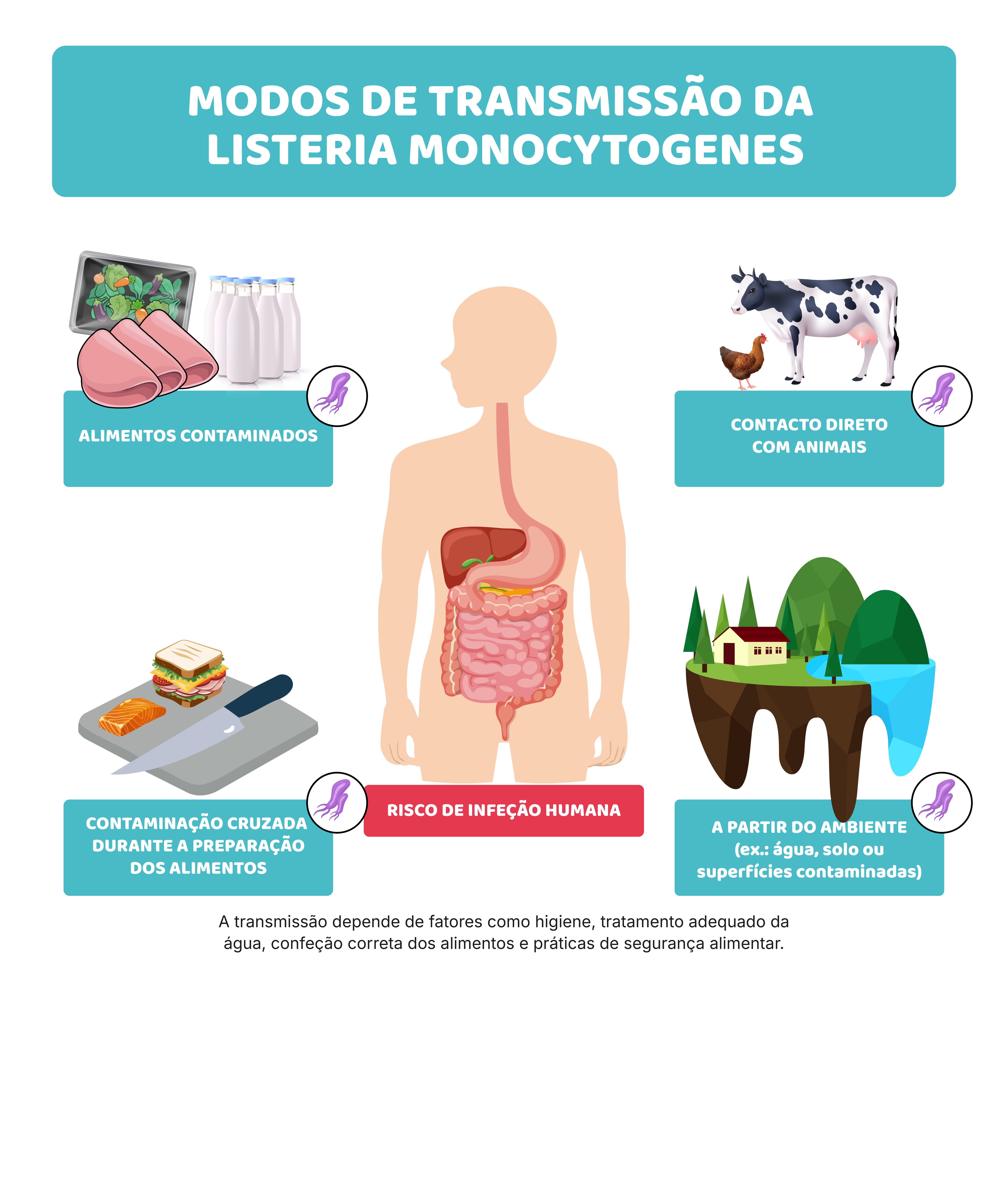 Micro-organismos: o que precisas de saber (nível 15–17)
