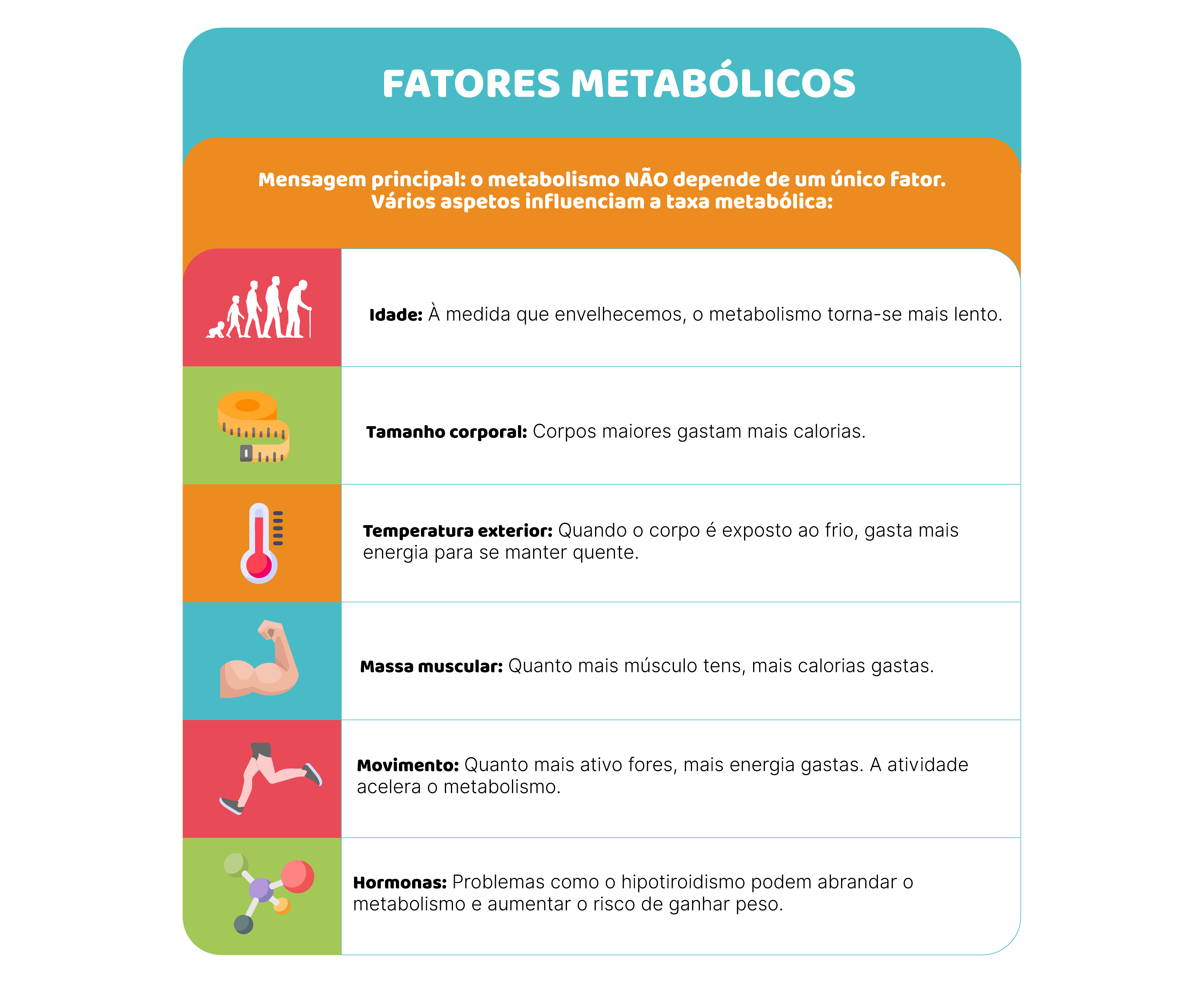 Metabolismo: como o corpo gere energia e nutrientes