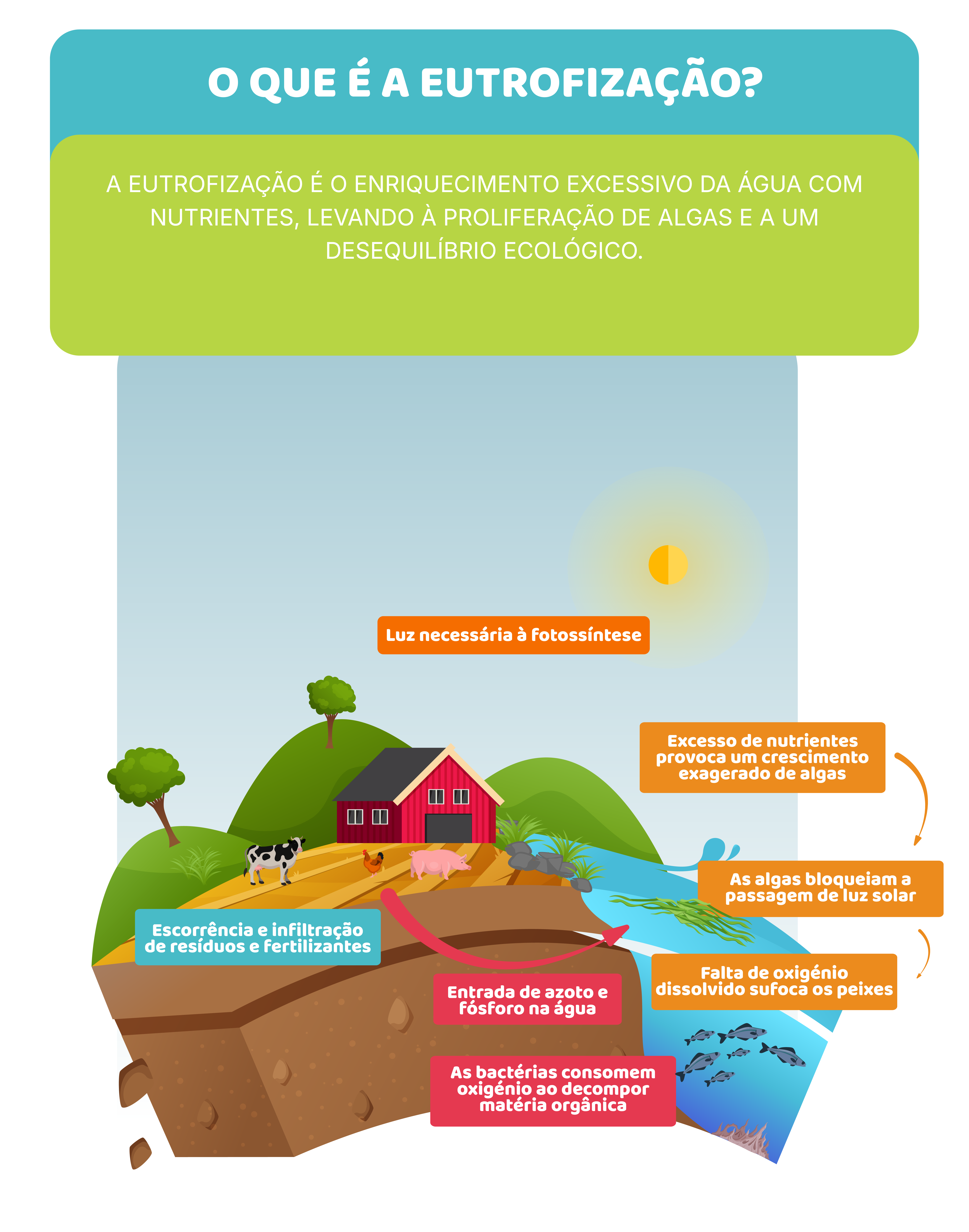 Ciclo do Azoto: fertilizantes, poluição e produtividade.