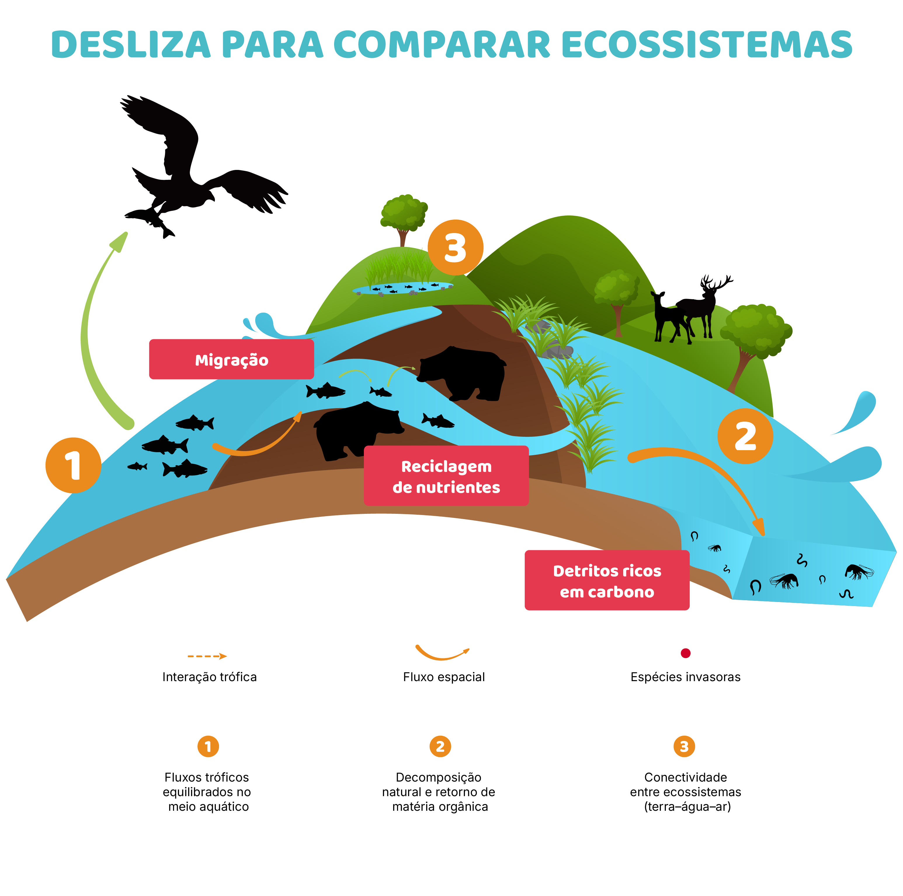 Espécies invasoras e impactos na alimentação Before