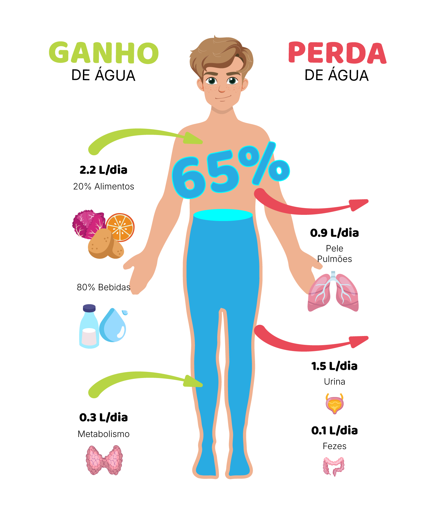 Equilíbrio diário entre o ganho e a perda