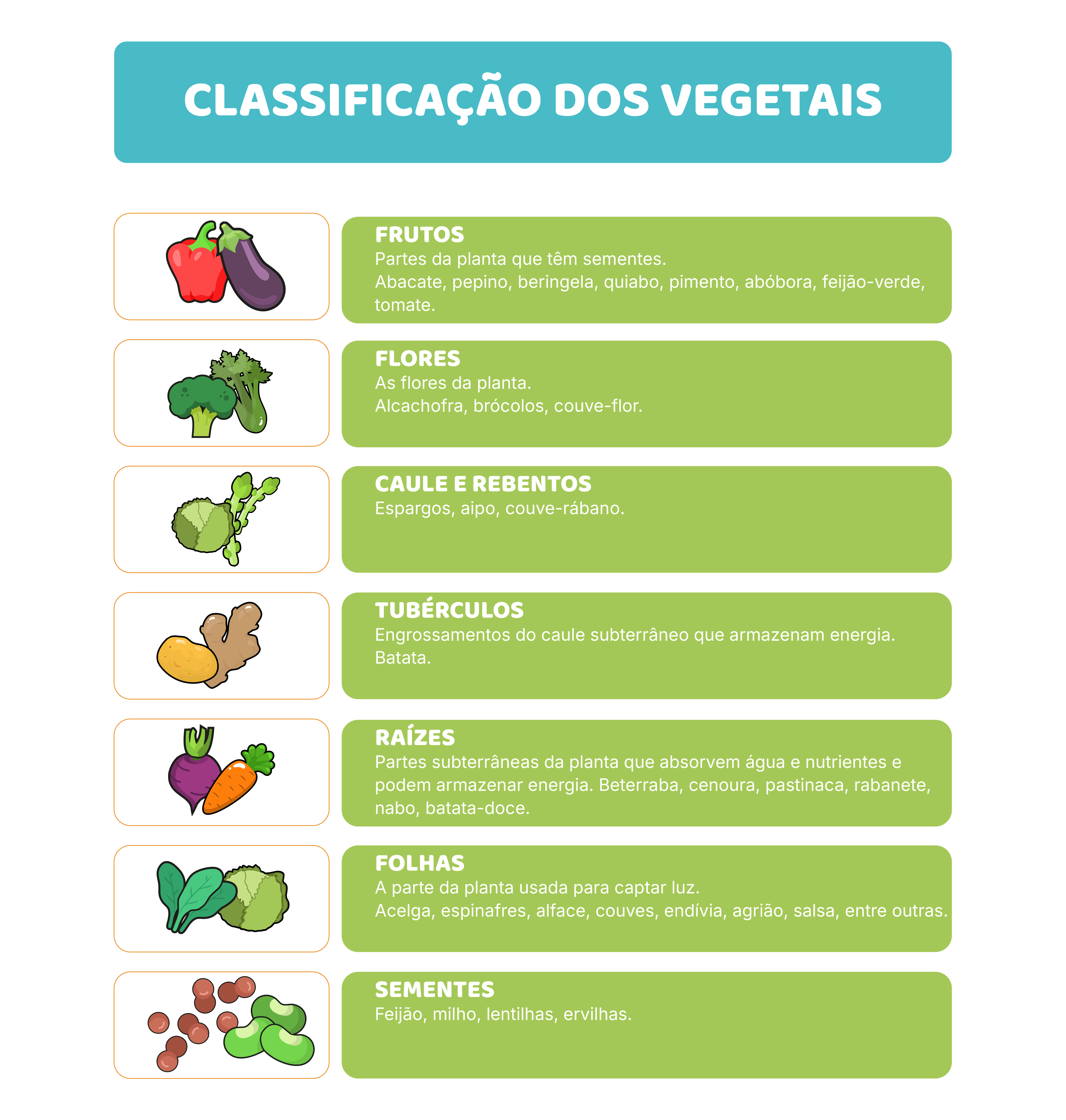 Como crescem os hortícolas