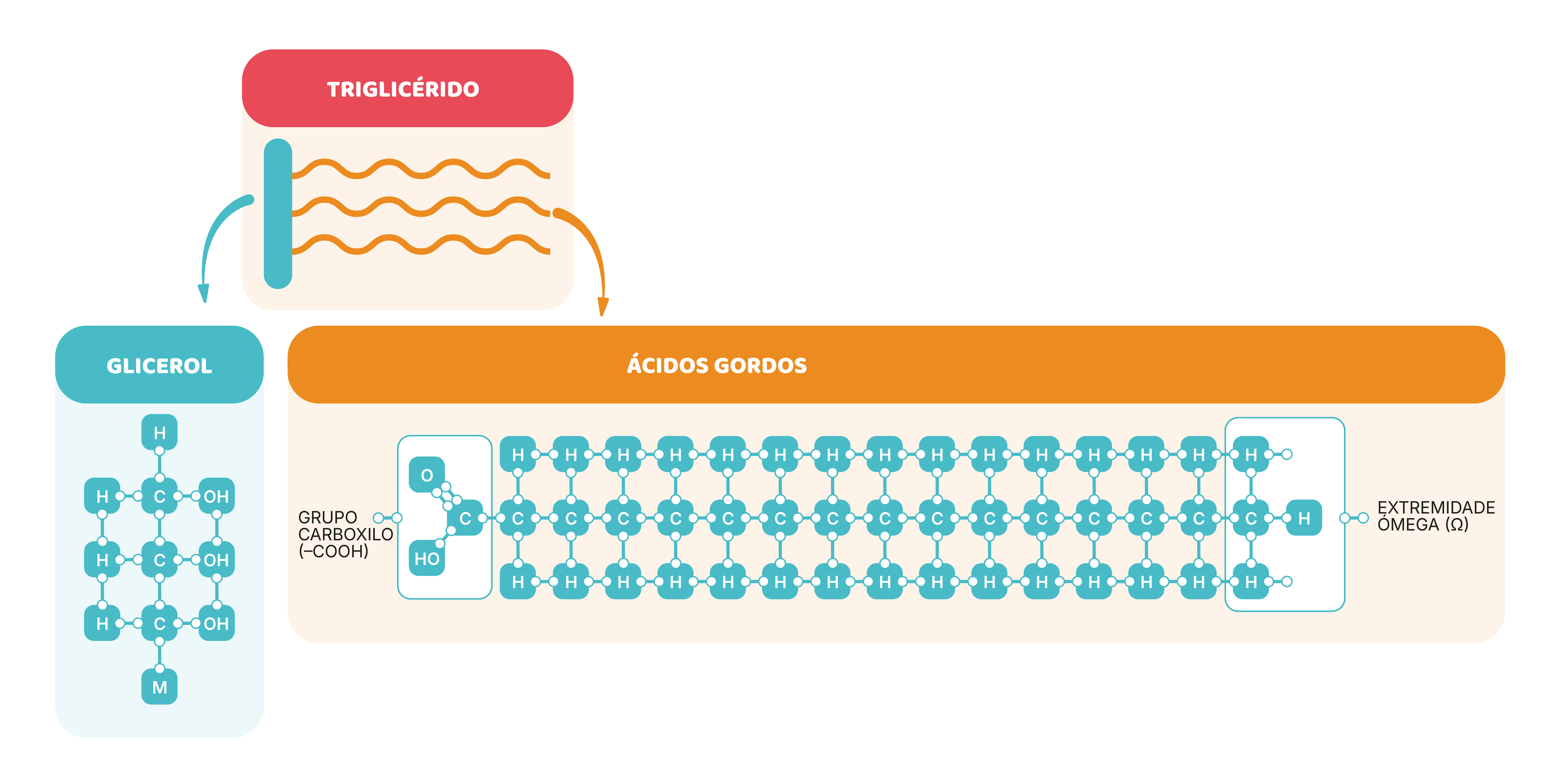 c) Gorduras: o tipo faz toda a diferença