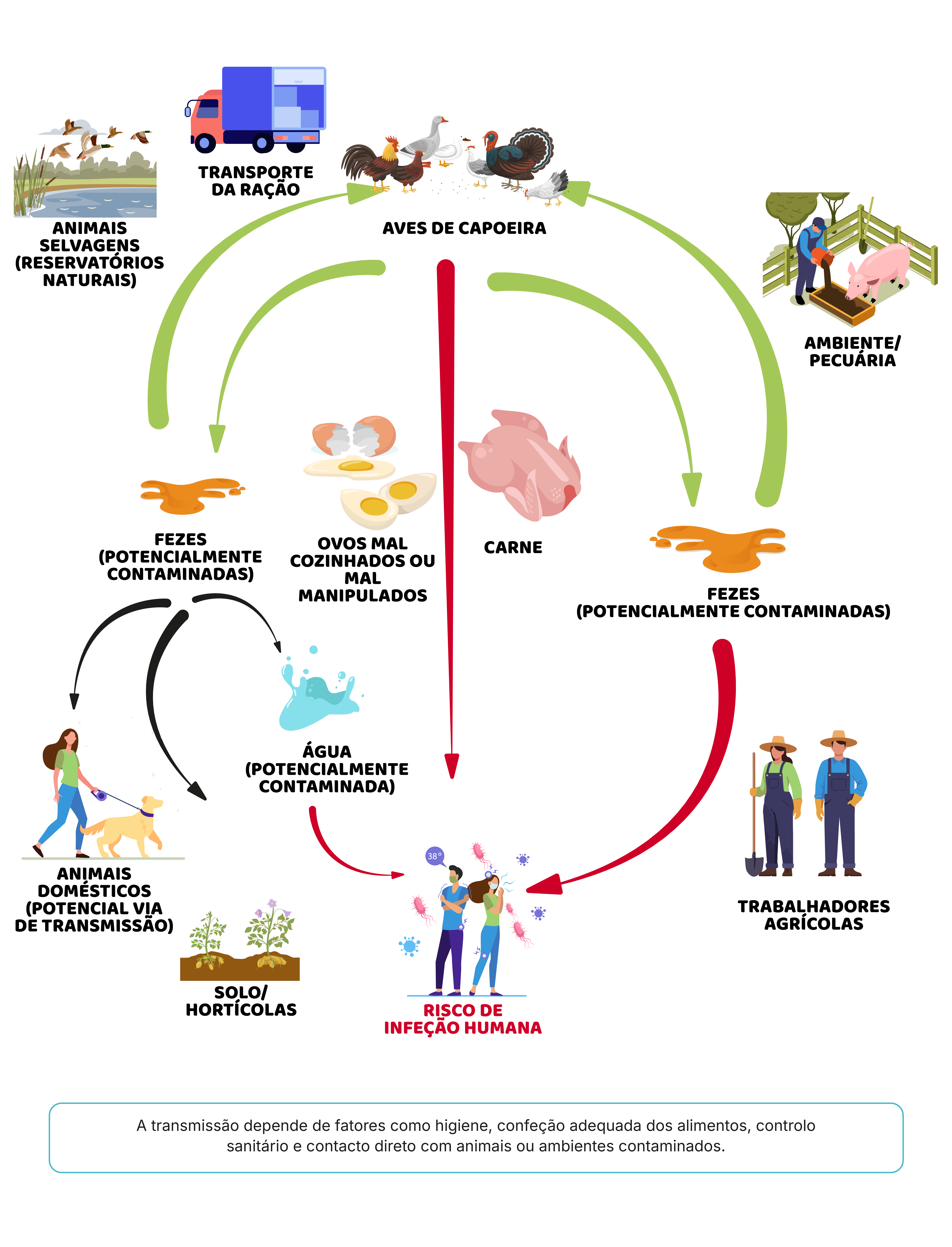 Segurança alimentar começa na escolha