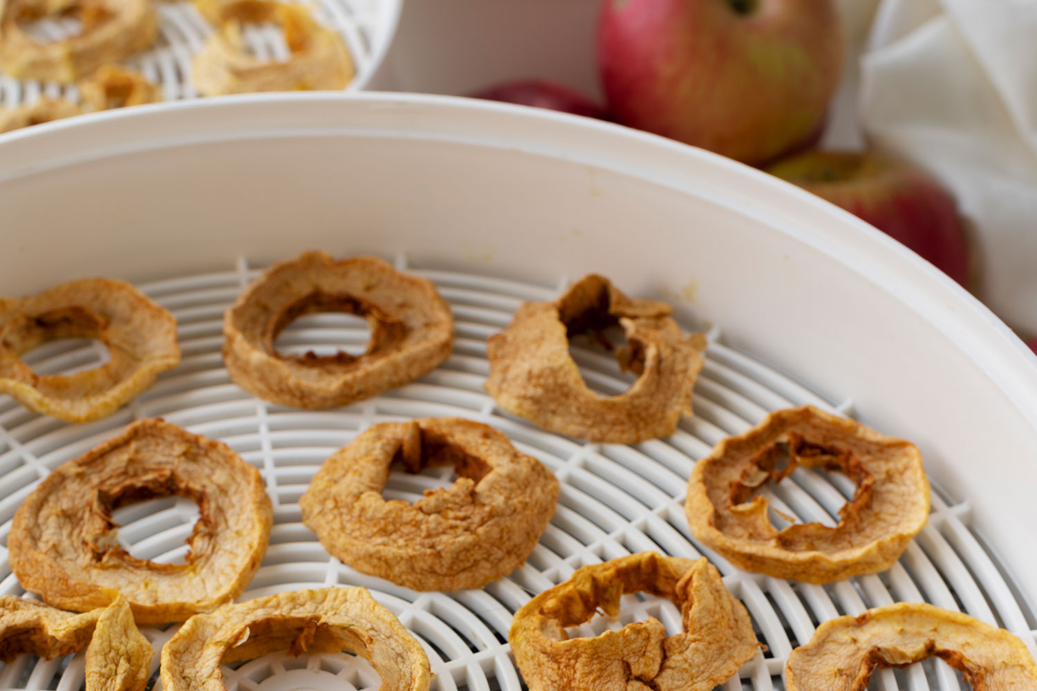 Secagem e desidratação