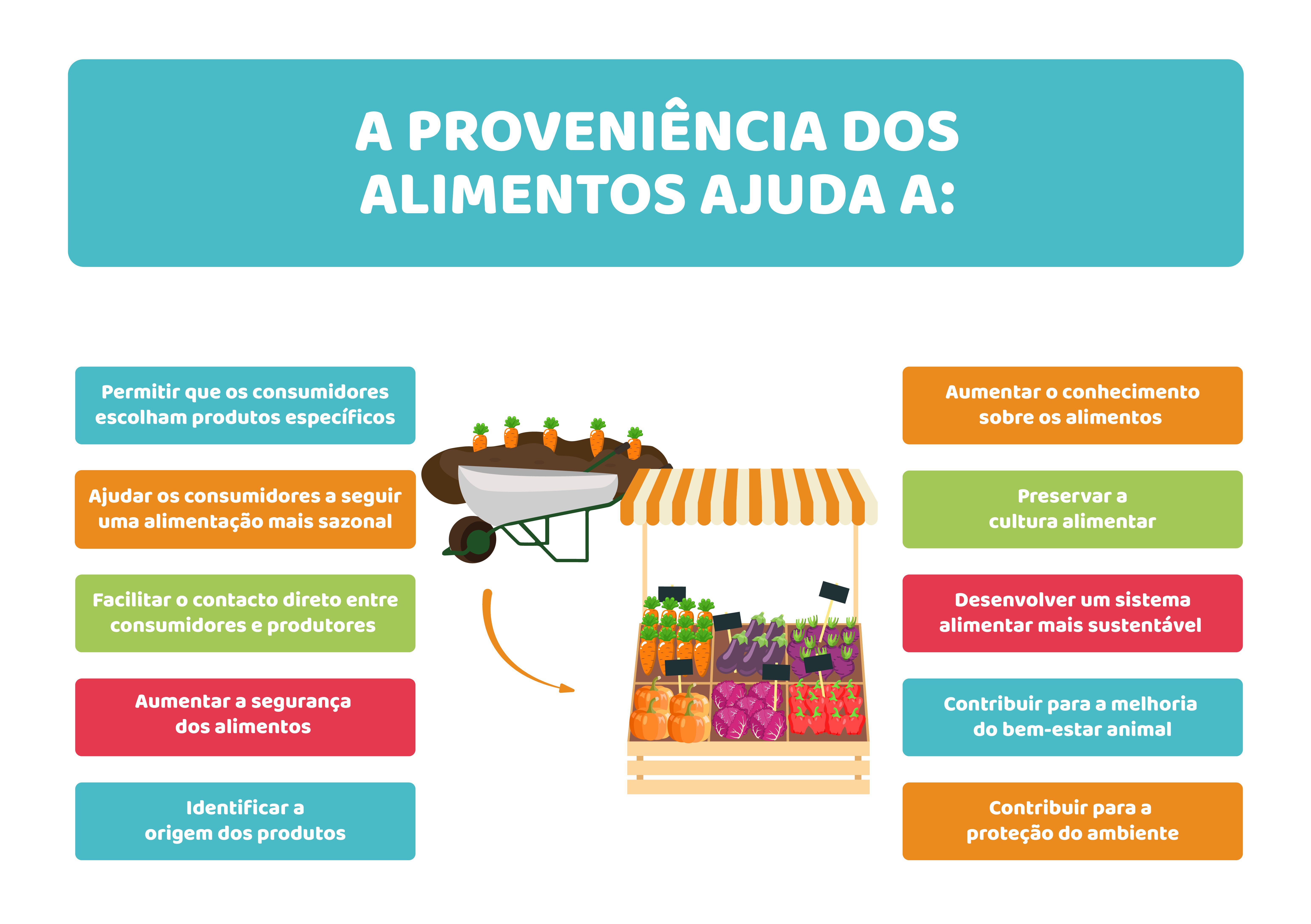Cadeias e teias alimentares humanas: como os alimentos chegam até nós